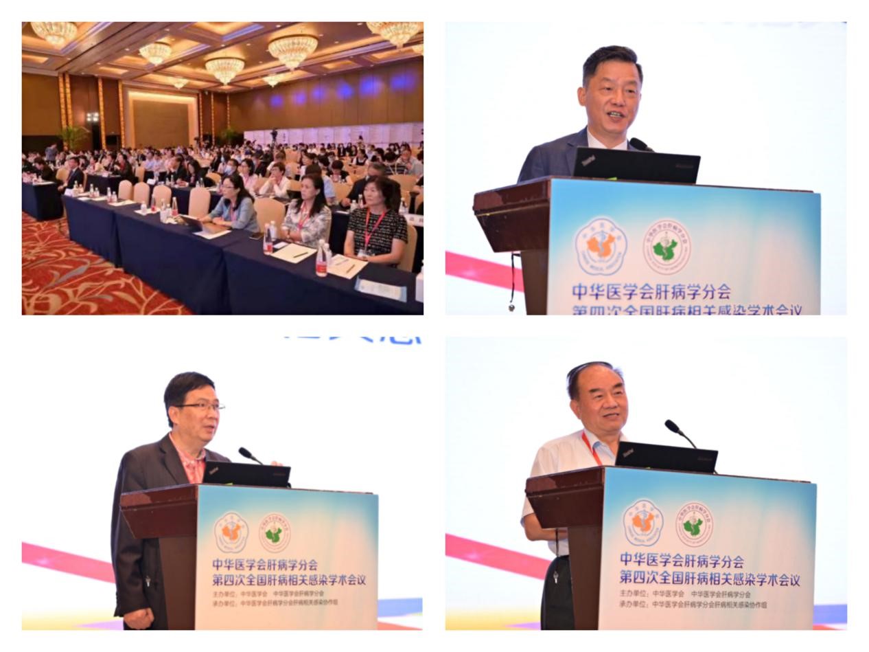 聚焦學(xué)術(shù)前沿，共迎肝病防治新征程！福瑞股份以學(xué)術(shù)助力中醫(yī)藥發(fā)展